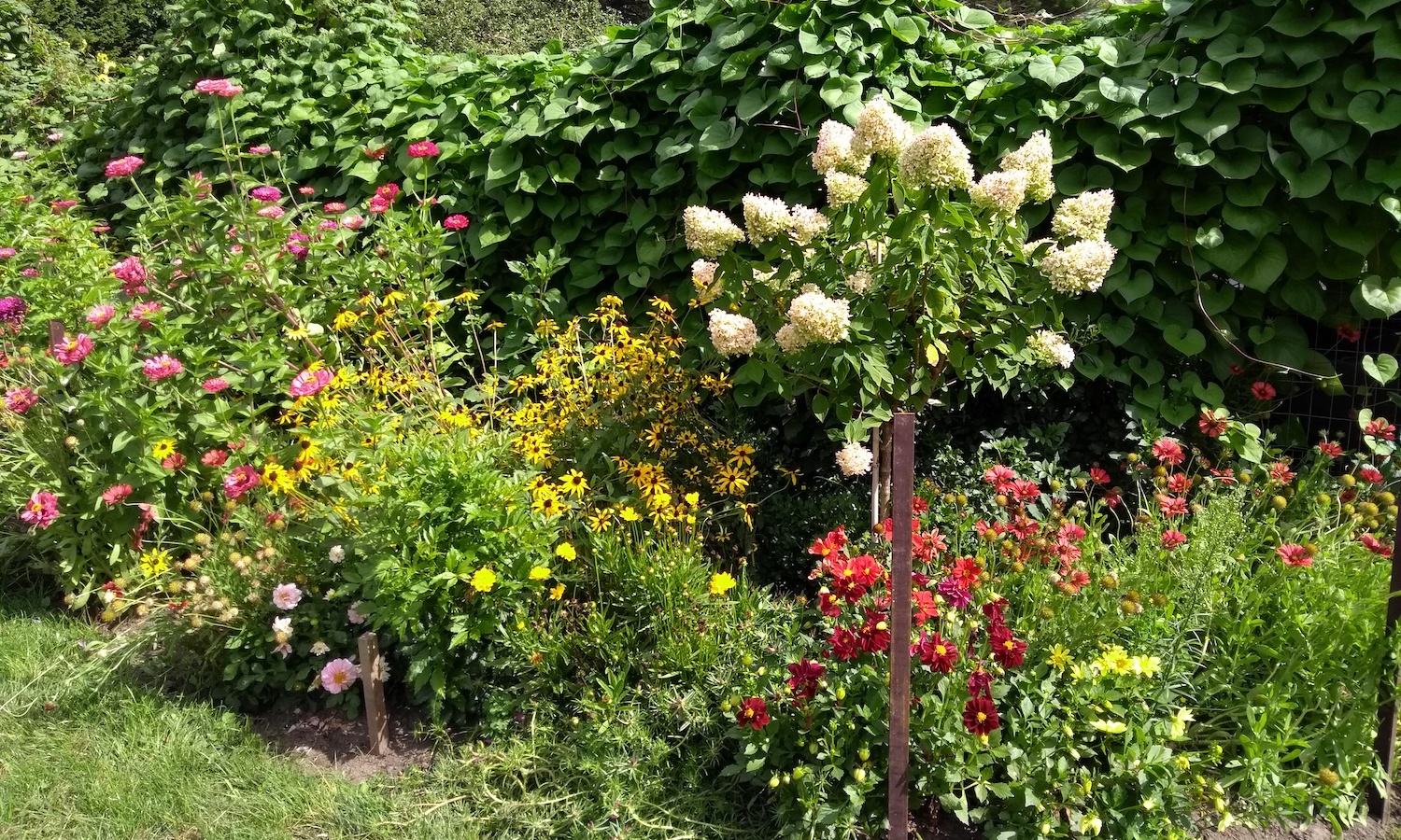 Garden in Bloom
