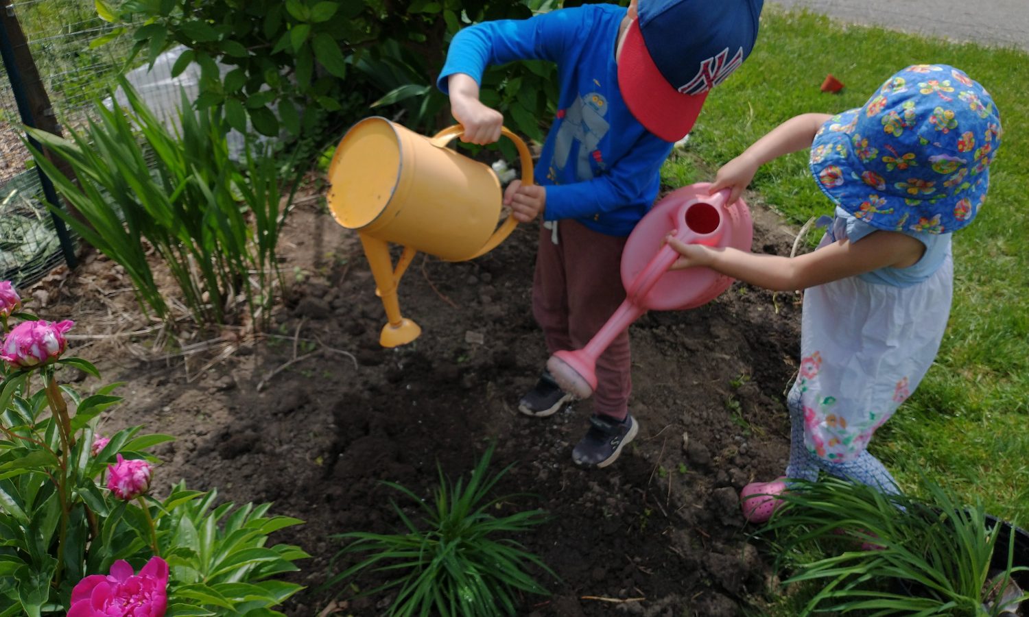 two kids, each with a watering pail, watering the garden